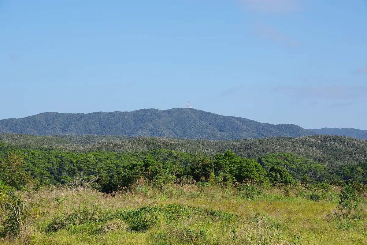 Mount Iyu