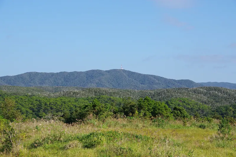Mount Iyu