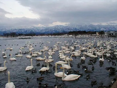 Lake Hyōko