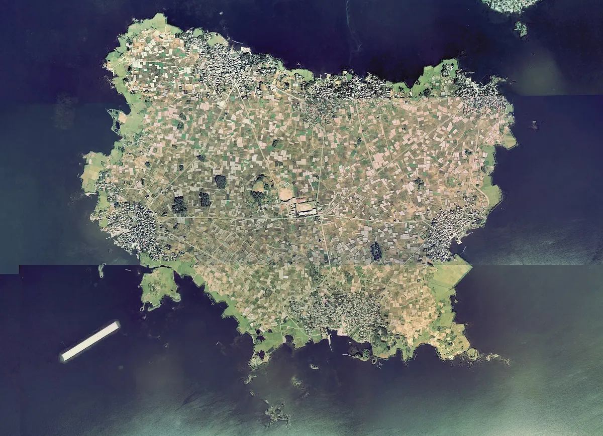 Daikon Island