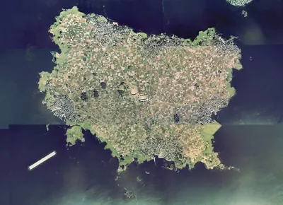 Daikon Island