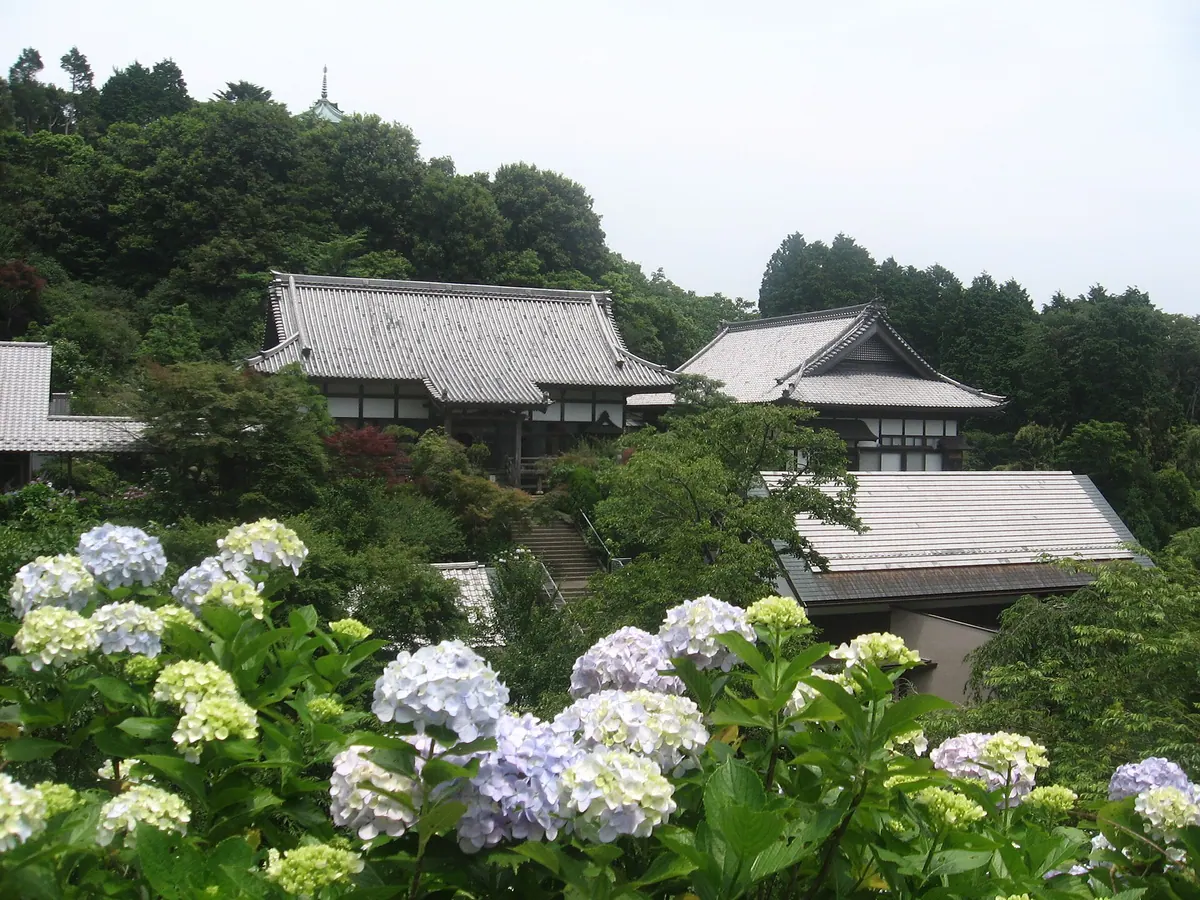 Myōhōshō-ji Temple