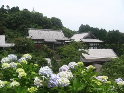 Myōhōshō-ji Temple