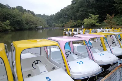 Kodomonokuni Theme Park