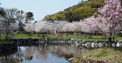 Kotohiki Park