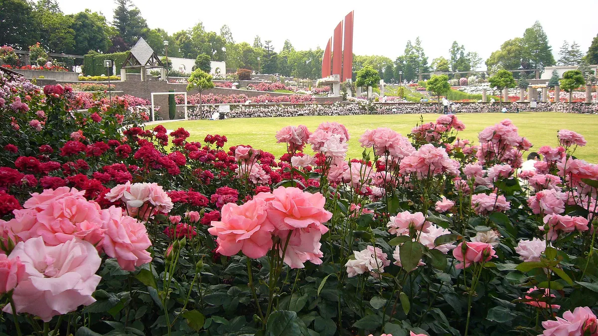 Aramaki Rose Park