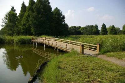 Mizumoto Park