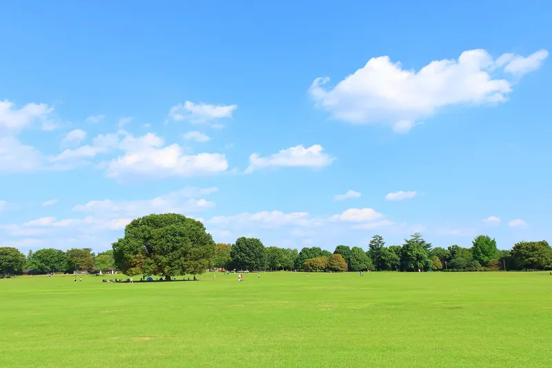 Shōwa Memorial Park