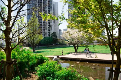 Kōnan Ryokusui Park