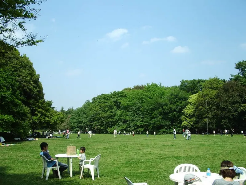 Kinuta Park