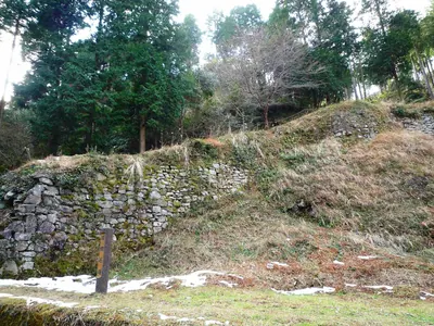 Ōno Castle
