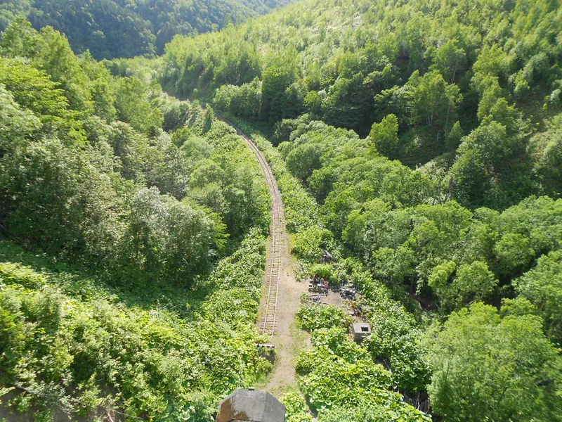 Hōshin Line