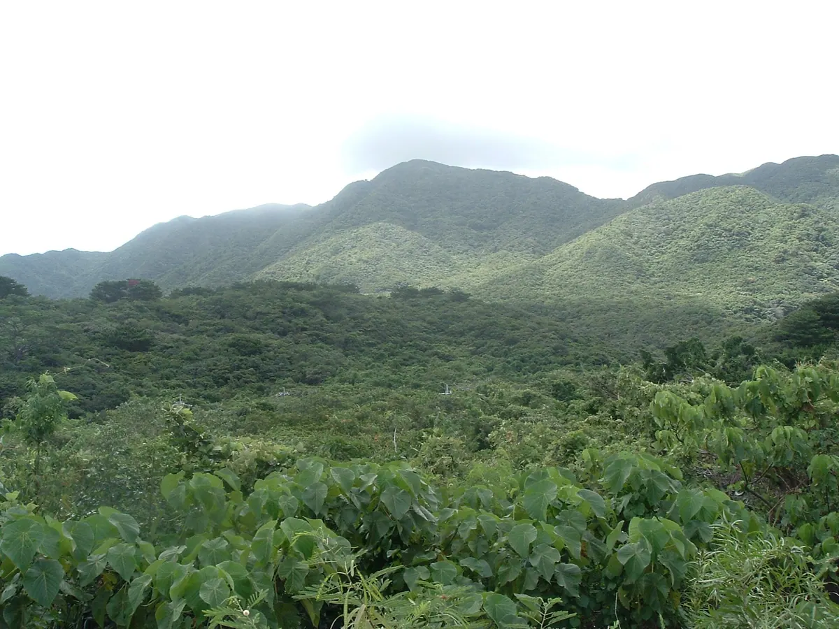 Mount Komi
