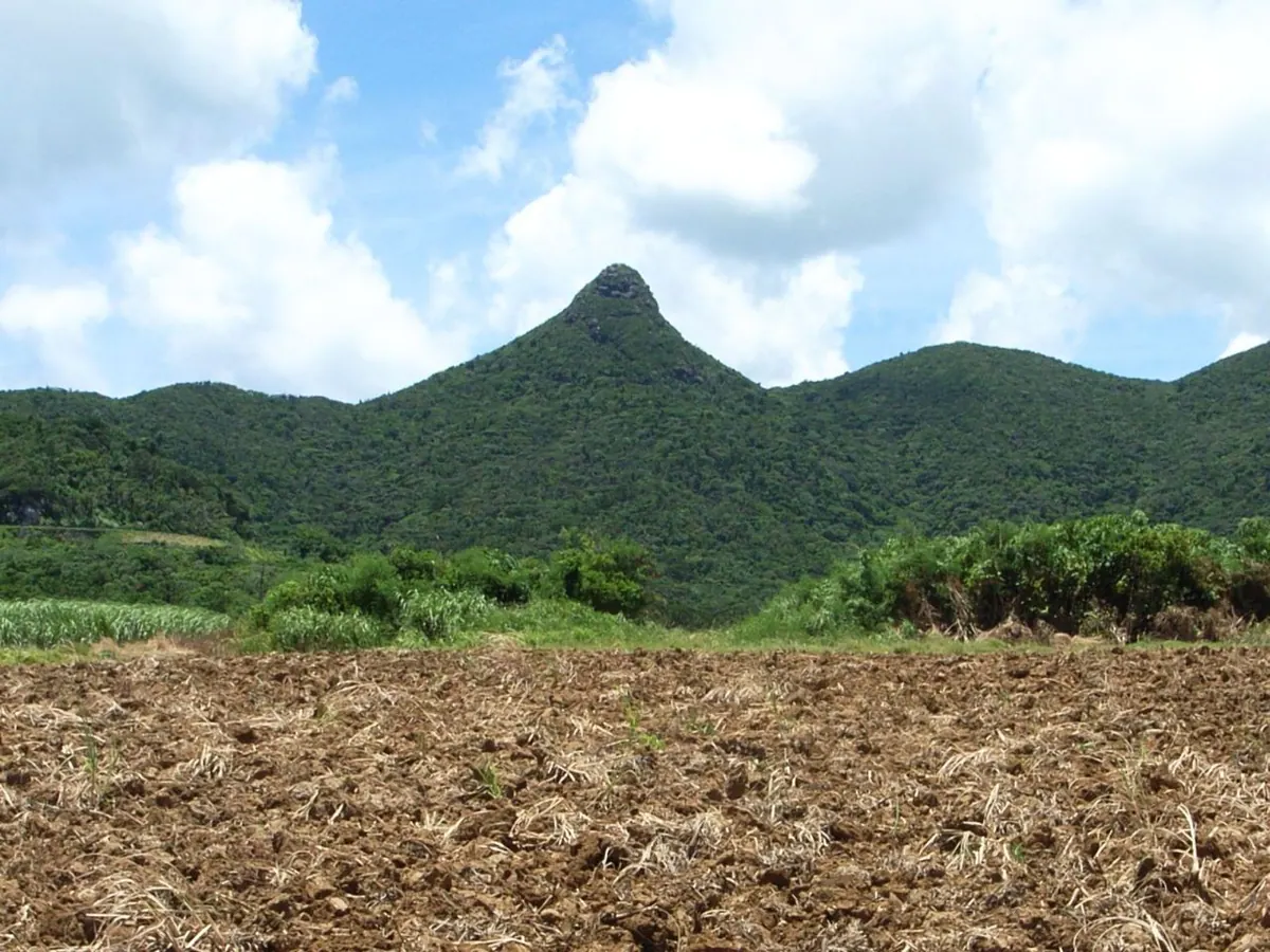 Mount Nosoko