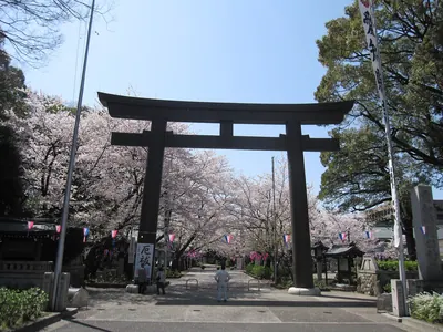Aichi Gokoku Shrine