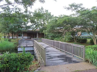 Shinjiko Nature Museum Gobius