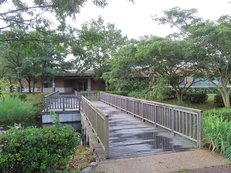 Shinjiko Nature Museum Gobius