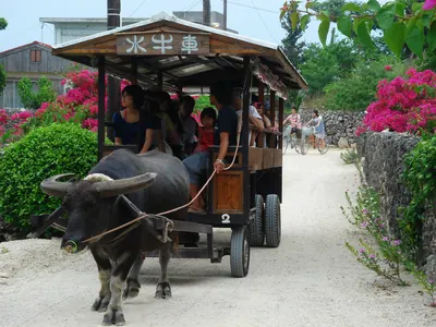 Taketomi Island