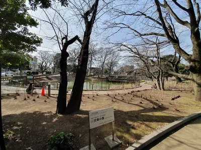 Bunko no Mori