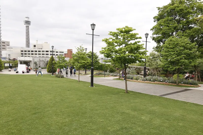 Motomachi Shell Mound