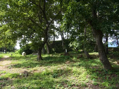 Murokoyama Castle