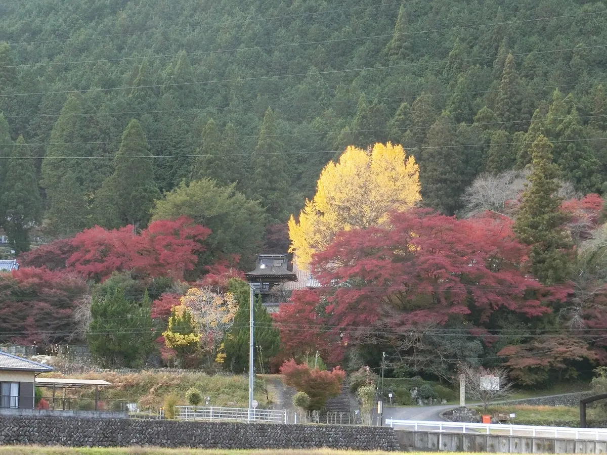 Gyokuryū-ji Temple