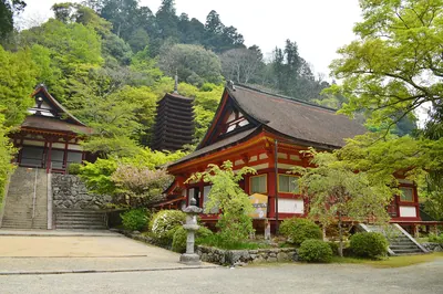 Tanzan Shrine