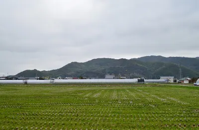Zoyama Castle