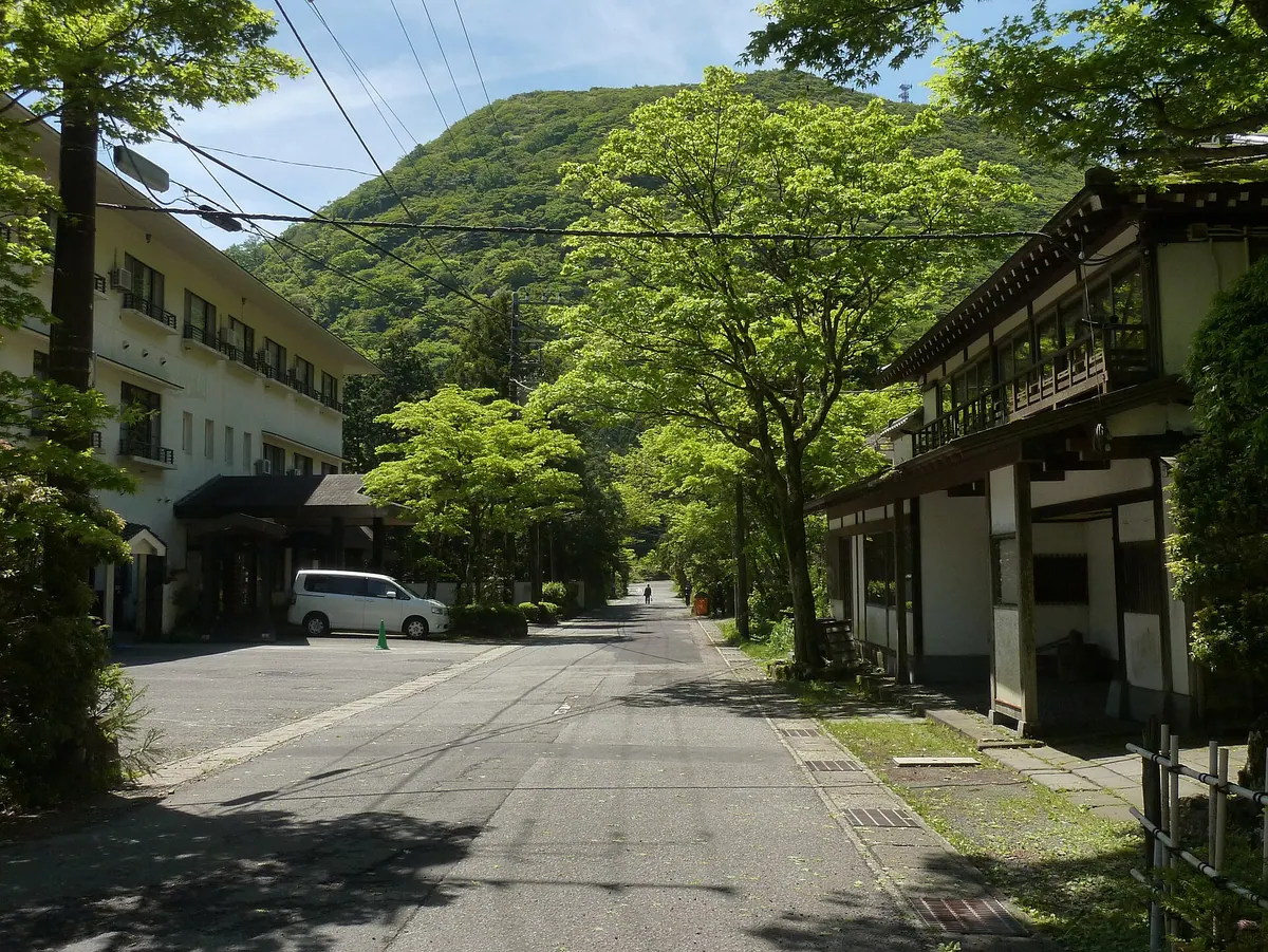 Ashinoyu Onsen