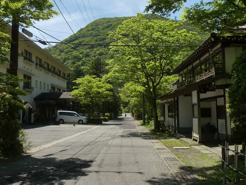 Ashinoyu Onsen