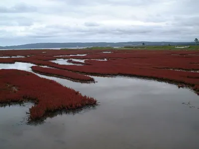 Lake Notoro