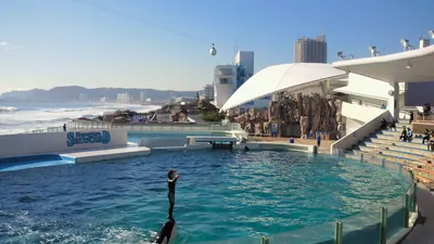Kamogawa Sea World