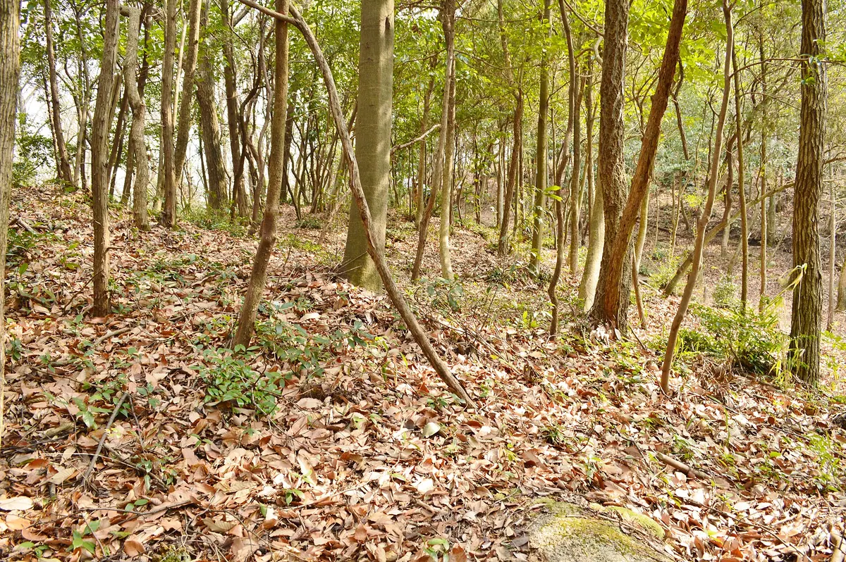 Kanakurayama Kofun