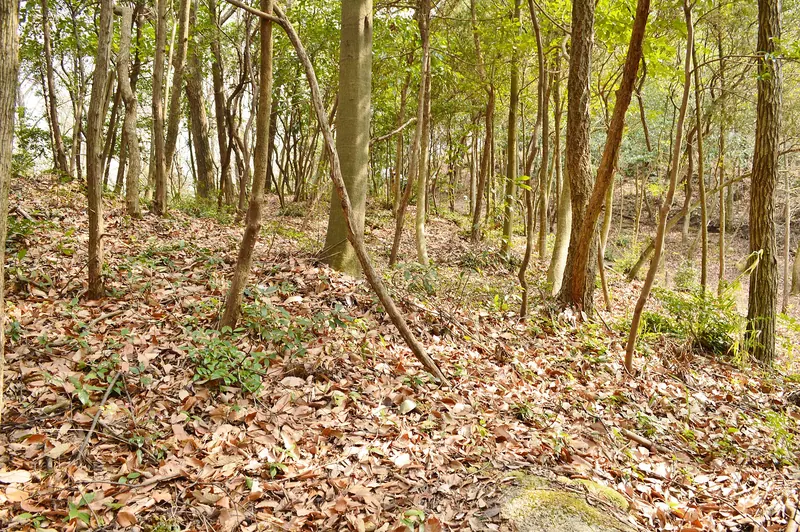 Kanakurayama Kofun