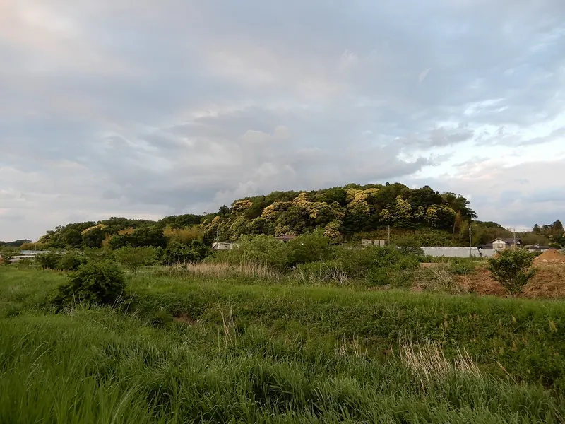Shiroyama Castle