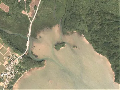 Pinishi Island