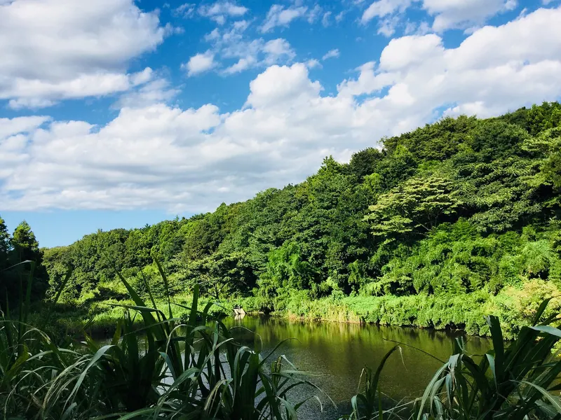 Chigasaki Satoyama Park