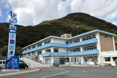 Muroto Schoolhouse Aquarium