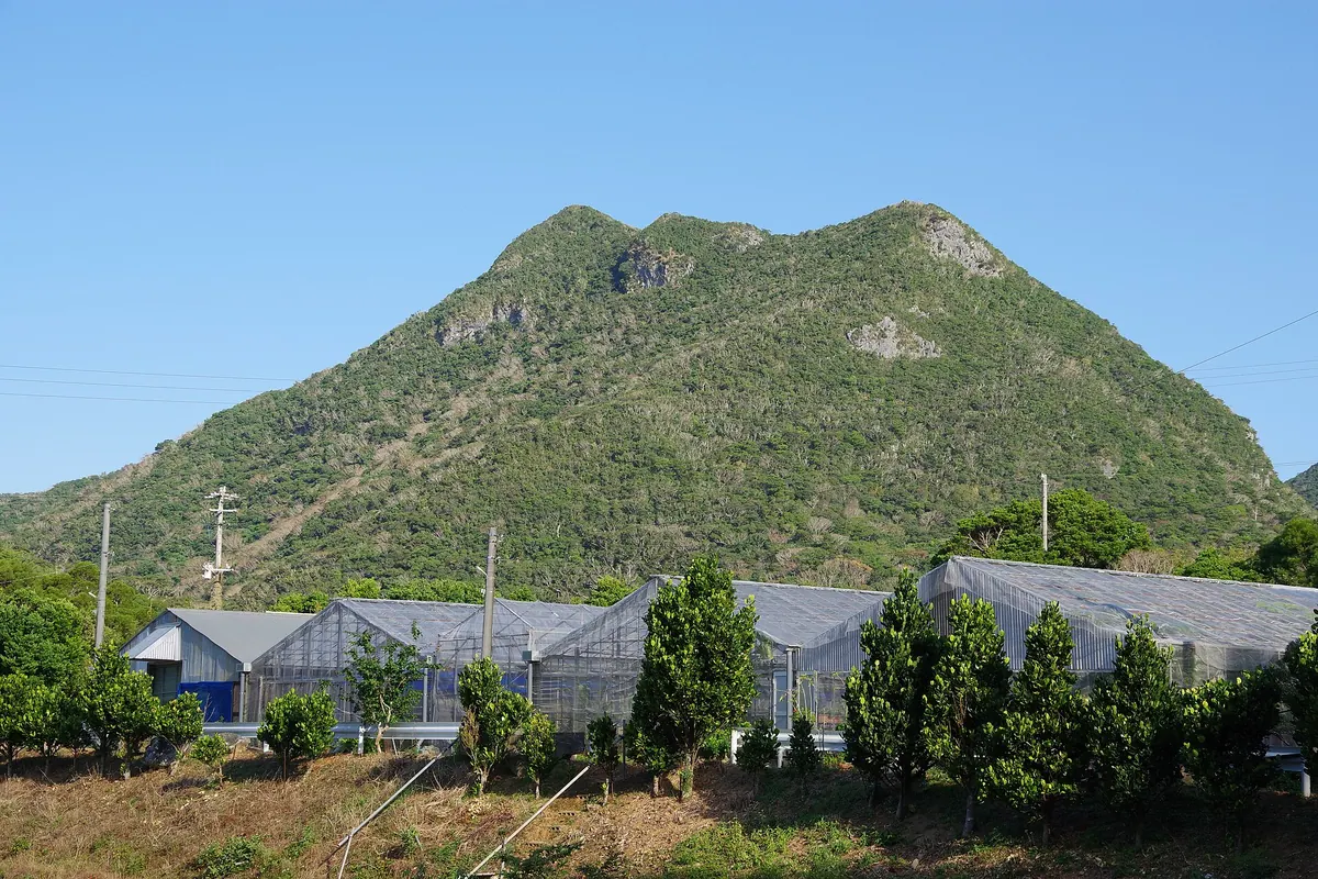 Mount Awa