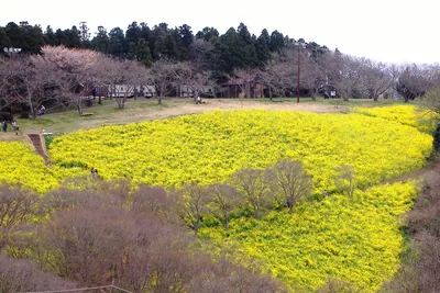 Mother Farm