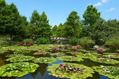 Mizunomori Water Botanical Garden