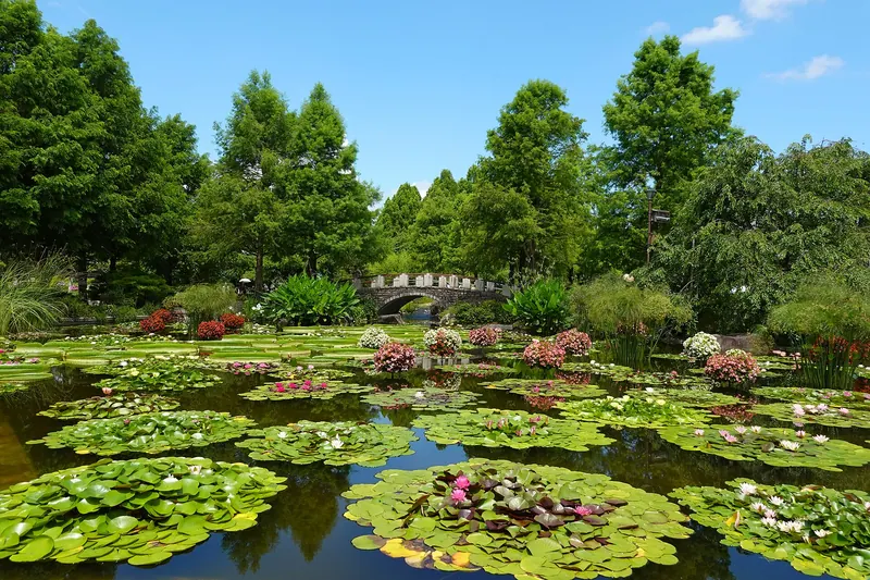 Mizunomori Water Botanical Garden