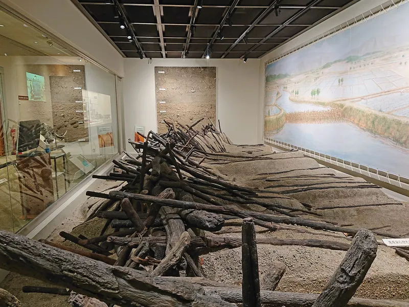 Kodera Site