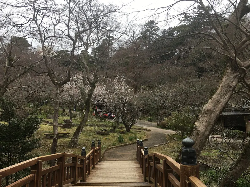 Atami Baien