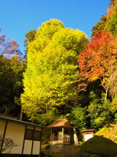 Tōyō-ji Temple