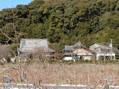 Chishō-in Temple