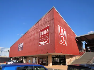 Shark Museum