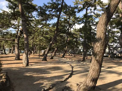 Ashiya Park