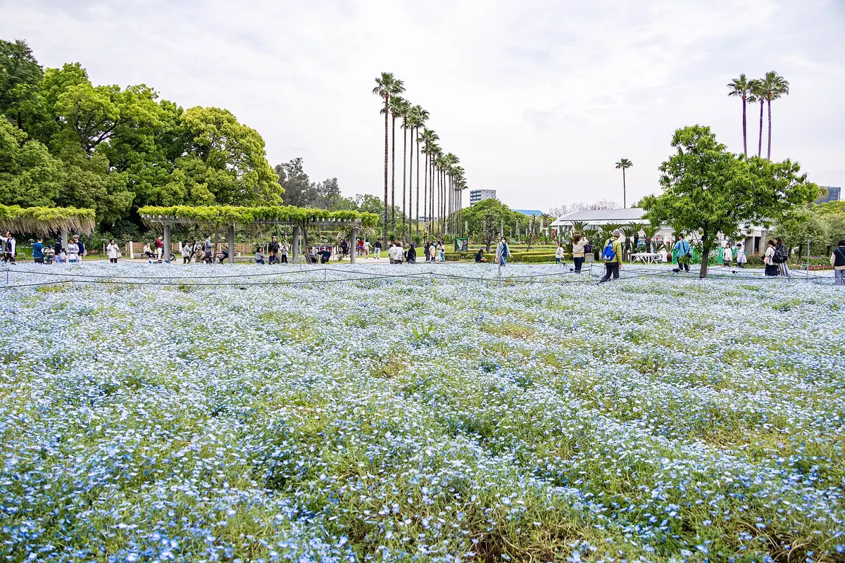 Nagai Botanical Garden