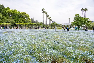 Nagai Botanical Garden